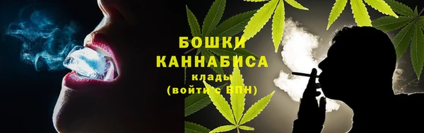 дмт Богданович